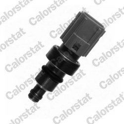 Senzor temperatura lichid racire Calorstat by Vernet WS2680