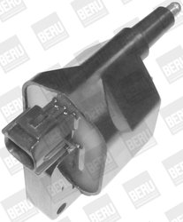 Bobina de inductie BorgWarner (BERU) ZS396