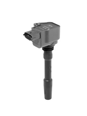 Bobina de inductie BorgWarner (BERU) ZSE226