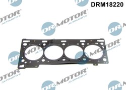 Garnitura chiuloasa Dr.Motor Automotive DRM18220