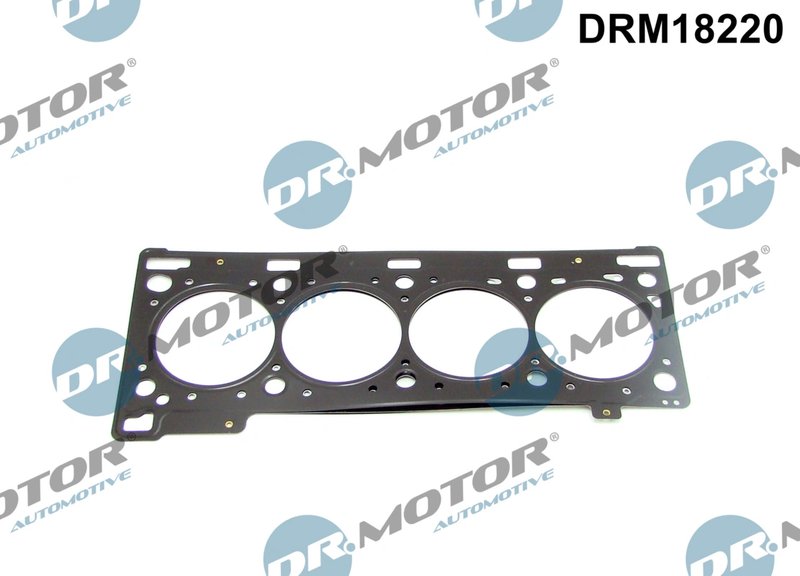 Garnitura chiuloasa Dr.Motor Automotive DRM18220