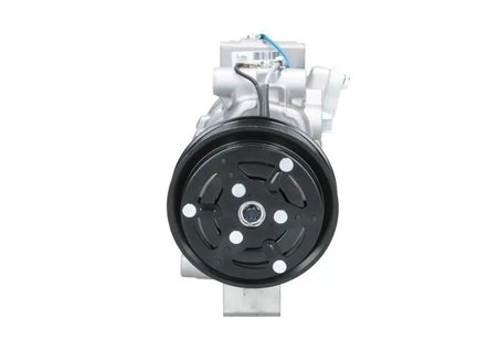 Compresor climatizare PSH 090.125.036.050