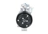 Compresor climatizare PSH 090.125.036.050