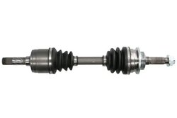 Planetara Pascal G2G055PC