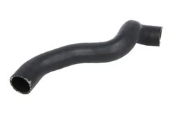Furtun radiator Thermotec DWM043TT
