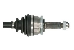 PLANETARA PASCAL G20055PC - Compatibil cu HYUNDAI