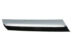 Banda de protectie, grila radiator BLIC 6502-07-3547994CP
