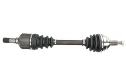 Planetara Pascal G2R176PC