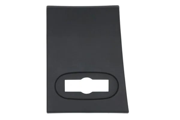 Elemente decorative/protectie, panou lateral BLIC 5703-06-95