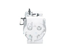 Compresor climatizare PSH 090.125.017.876