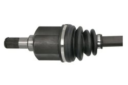 PLANETARA PASCAL G20026PC - Compatibil cu HYUNDAI