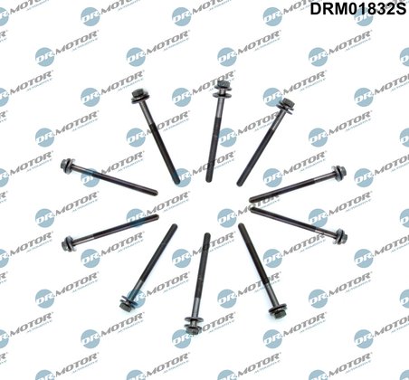 SET SURUBURI CHIULASA DR.MOTOR AUTOMOTIVE DRM01832S - Compatibil cu FORD