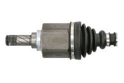 Planetara Pascal G21058PC