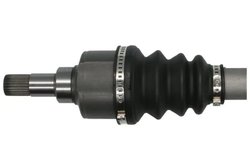 Planetara Pascal G2C043PC