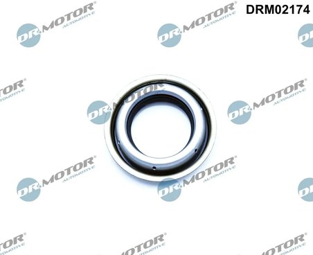 Simering diferential Dr.Motor Automotive DRM02174