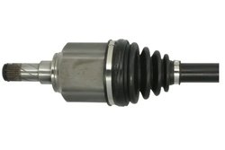 Planetara Pascal G2F004PC