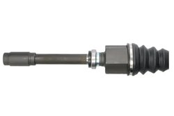 Planetara Pascal G2C144PC