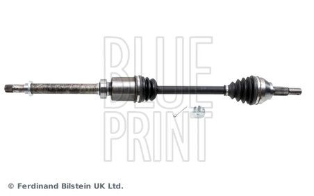 Planetara Blue Print ADBP890029