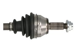 Planetara Pascal G2G012PC