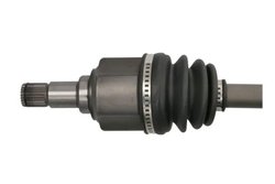 Planetara Pascal G2G012PC