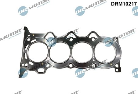 Garnitura chiuloasa Dr.Motor Automotive DRM10217