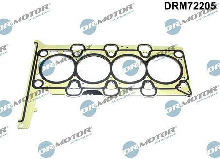 Garnitura chiuloasa Dr.Motor Automotive DRM72205