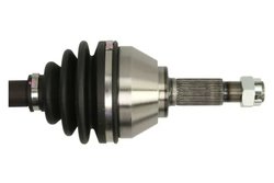 Planetara Pascal G2R137PC