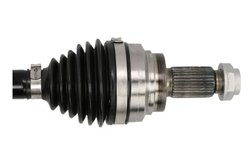 Planetara Pascal G2B048PC