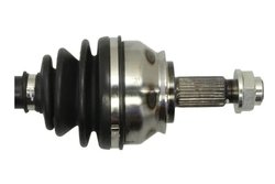 Planetara Pascal G2D007PC