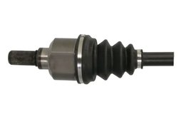 Planetara Pascal G2C167PC