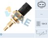Senzor temperatura lichid racire FAE 33925