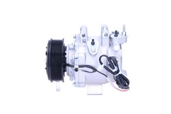 Compresor climatizare PSH 090.125.014.876