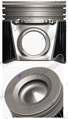 Piston Nural 87-421600-10