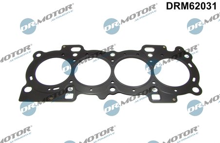 Garnitura chiuloasa Dr.Motor Automotive DRM62031