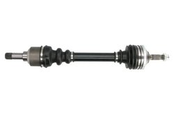 Planetara Pascal G2P007PC