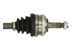 Planetara Pascal G2C008PC