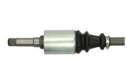 Planetara Pascal G2C008PC