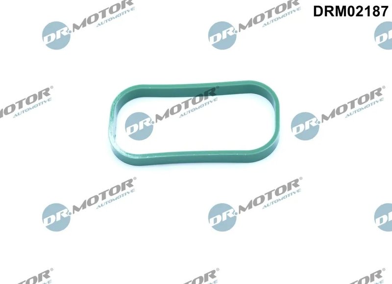 Garnitura galerie admisie Dr.Motor Automotive DRM02187