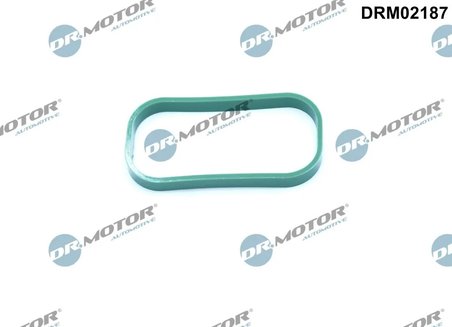 Garnitura galerie admisie Dr.Motor Automotive DRM02187