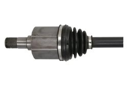 Planetara Pascal G20003PC