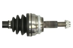 Planetara Pascal G22011PC