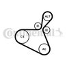 SET CUREA TRANSMISIE CU CANELURI CONTINENTAL 6PK1179 EXTRA K1 - Compatibil cu FORD