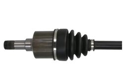 Planetara Pascal G2G005PC