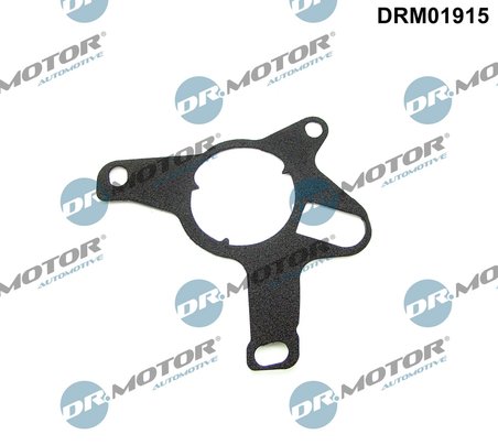 Garnitura, pompa vacuum Dr.Motor Automotive DRM01915