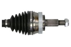 Planetara Pascal G2R008PC