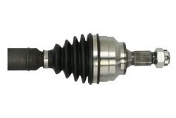 Planetara Pascal G2C148PC