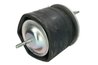 BURDUF SUSPENSIE PNEUMATICA MAGNUM TECHNOLOGY 5002-03-0372 - Compatibil cu IVECO