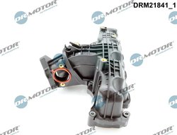 MODUL CONDUCTA ADMISIE DR.MOTOR AUTOMOTIVE DRM21841 - Compatibil cu AUDI, SEAT, SKODA, VW
