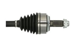 Planetara Pascal G24015PC