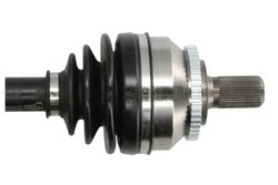 Planetara Pascal G2V044PC